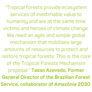 Quote:“Tropical forests provide ecosystem services of inestimable value to humanity and are at the same time victims and heroes of climate change. We need an agile and simple global mechanism that mobilises large amounts of resources to protect and restore tropical forests. This is the core of the Tropical Forest Mechanism proposal.” Tasso Azevedo, Former General Director of the Brazilian Forest Service, collaborator of Amazônia 2030.