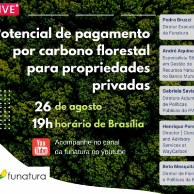 BVRio participa de webinário sobre o potencial de pagamento por carbono florestal para propriedades privadas