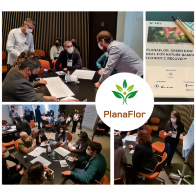 PlanaFlor realiza 1º workshop com stakeholders