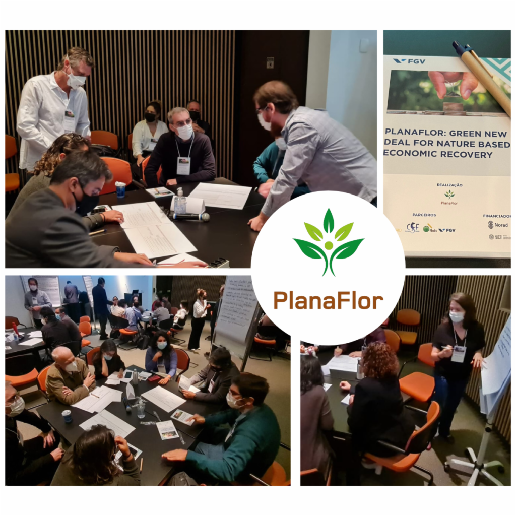 stakeholder-workshop-analyses-the-strategic-plan-for-implementation-of