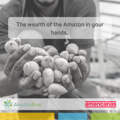 AmazoniAtiva store launches on Americanas Social shopping platform